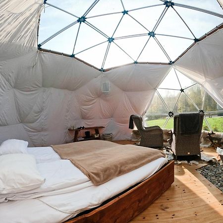 Wild Caribou Dome Otel Lakselv Dış mekan fotoğraf