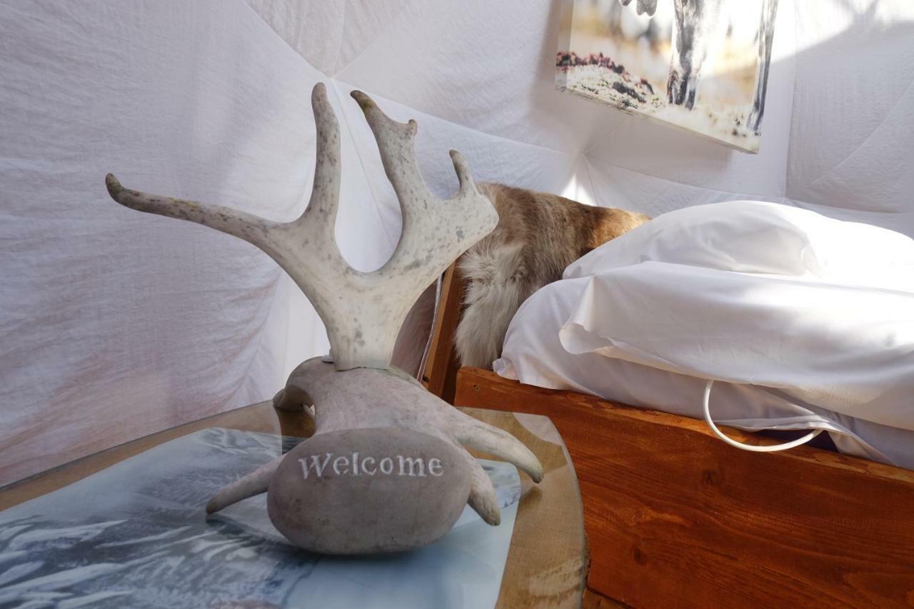Wild Caribou Dome Otel Lakselv Dış mekan fotoğraf
