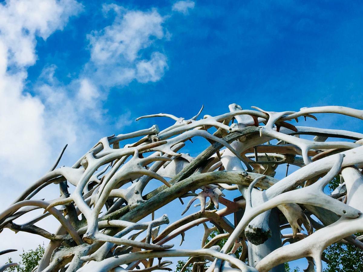 Wild Caribou Dome Otel Lakselv Dış mekan fotoğraf